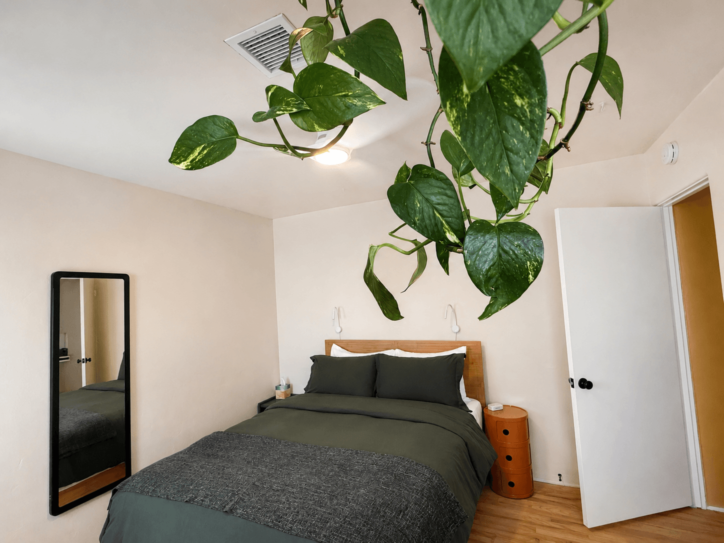 Sleep under the pothos